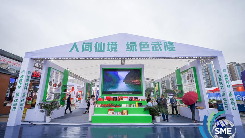專業logo設計素材庫：如何挑選適合你的寶藏資源